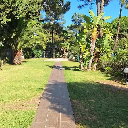 Sun And Serenity Daire Albufeira