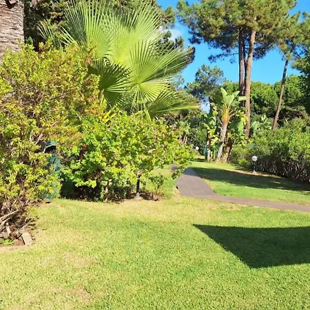 Sun And Serenity Daire